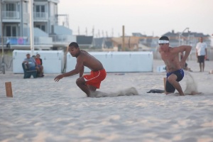 2013 - The Magic of Beach Flags