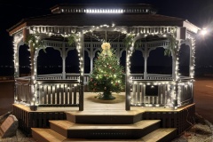 JMG_4336c-20231125_225007787_iOS_00001adj